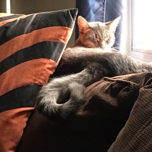 Meet your Posher, Heather